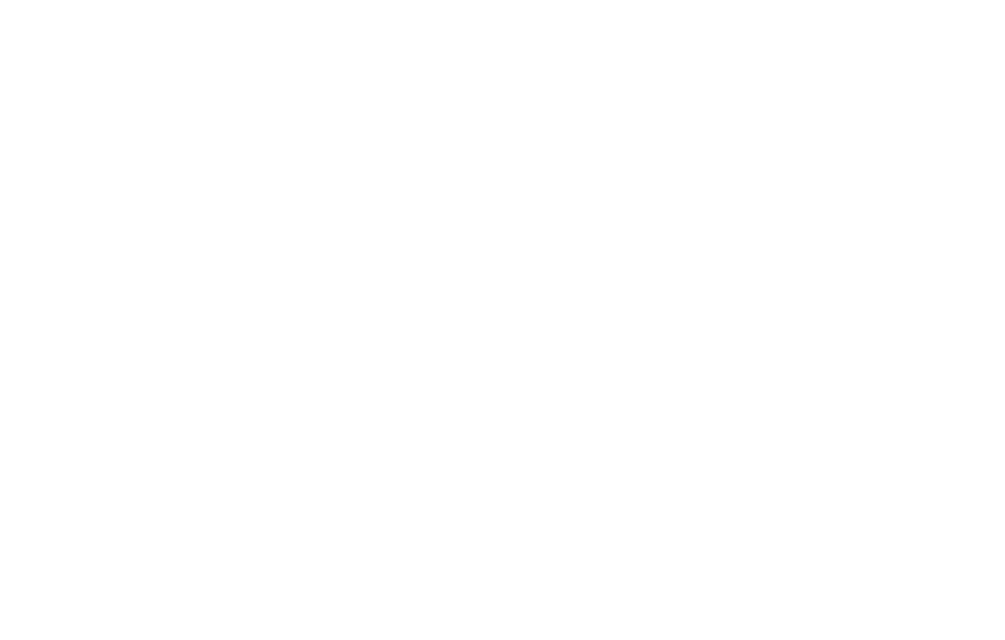 White version of the easyCBM logo, a triangle pointy side up, with a chart style zig-zag line trending upward across it